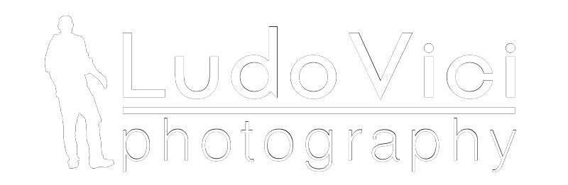 logo photogenic-weiss